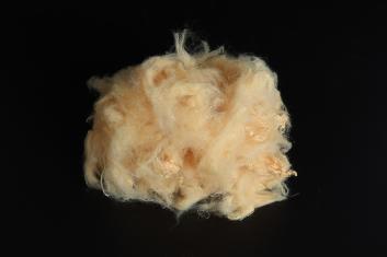 노란색 솔리드 PSF