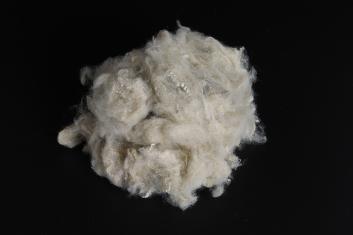 베이지 솔리드 PSF