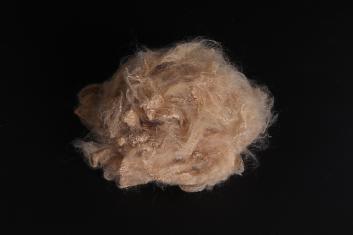 브라운 저용해 PSF