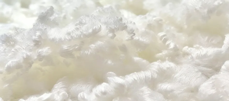 폴리에스터는 합성 섬유인가요? (2)