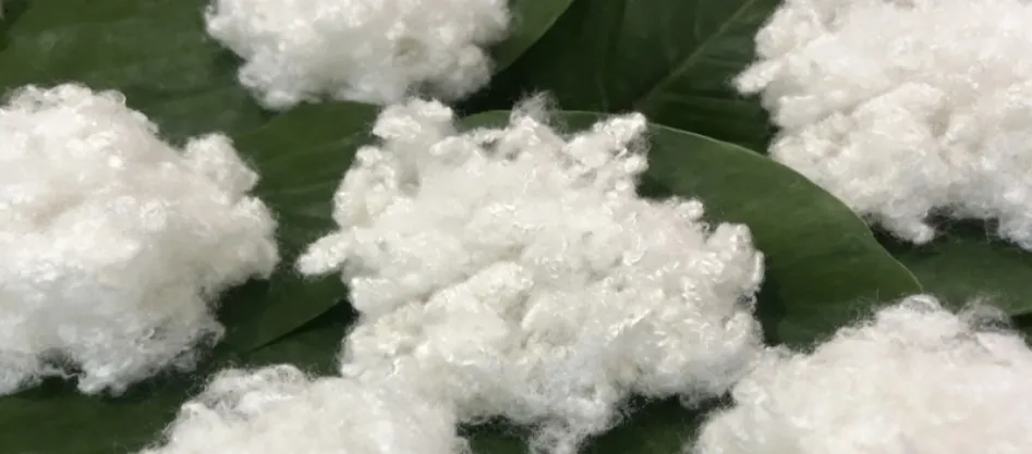 폴리에스터는 합성 섬유인가요? 알아야 할 게 있어요